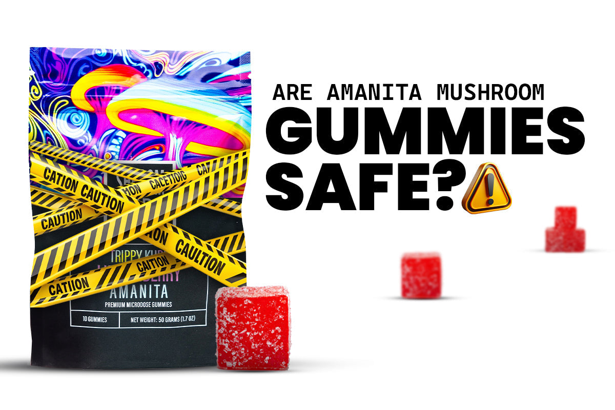 Are Amanita Mushroom Gummies Safe? Breaking Down Safety Guidelines