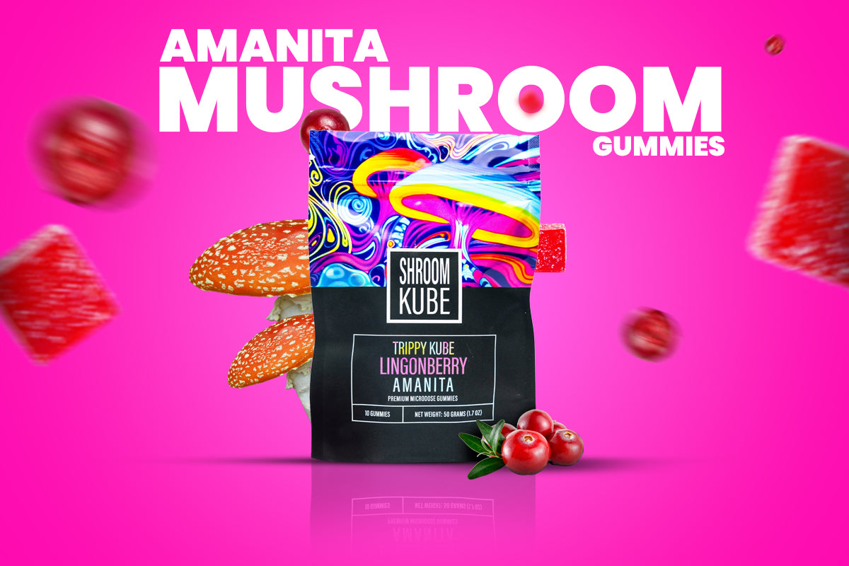 Amanita Mushroom Gummies: What Are They and How Do They Work?