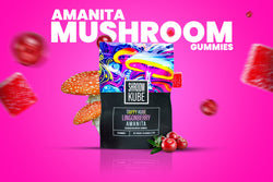 Image of Amanita Mushroom Gummies: What Are They and How Do They Work?