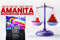 Image of How to Find Your Ideal Dose of Amanita Mushroom Gummies