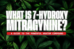 Image of What is 7-Hydroxy Mitragynine? A Guide to the Powerful Kratom Compound