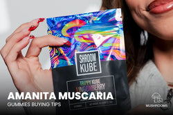 Image of Amanita Muscaria Gummies Buying Tips