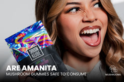 Image of Are Amanita Mushroom Gummies Safe To Consume