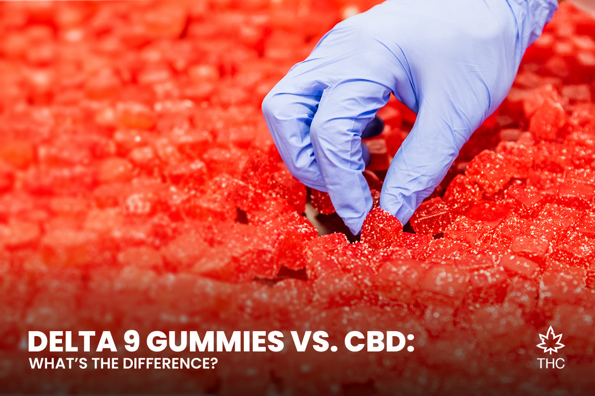 Delta 9 Gummies vs. CBD: What’s the Difference?