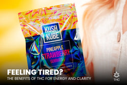 Image of Feeling Tired THC Gummies for Energy Might Be the Answer