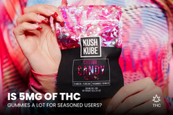 Image of Is 5mg of THC Gummies a Lot for Seasoned Users 