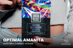 Image of Optimal Amanita Muscaria Gummies Dosage