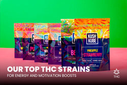 Image of Our Top THC Strains for Energy and Motivation Boosts