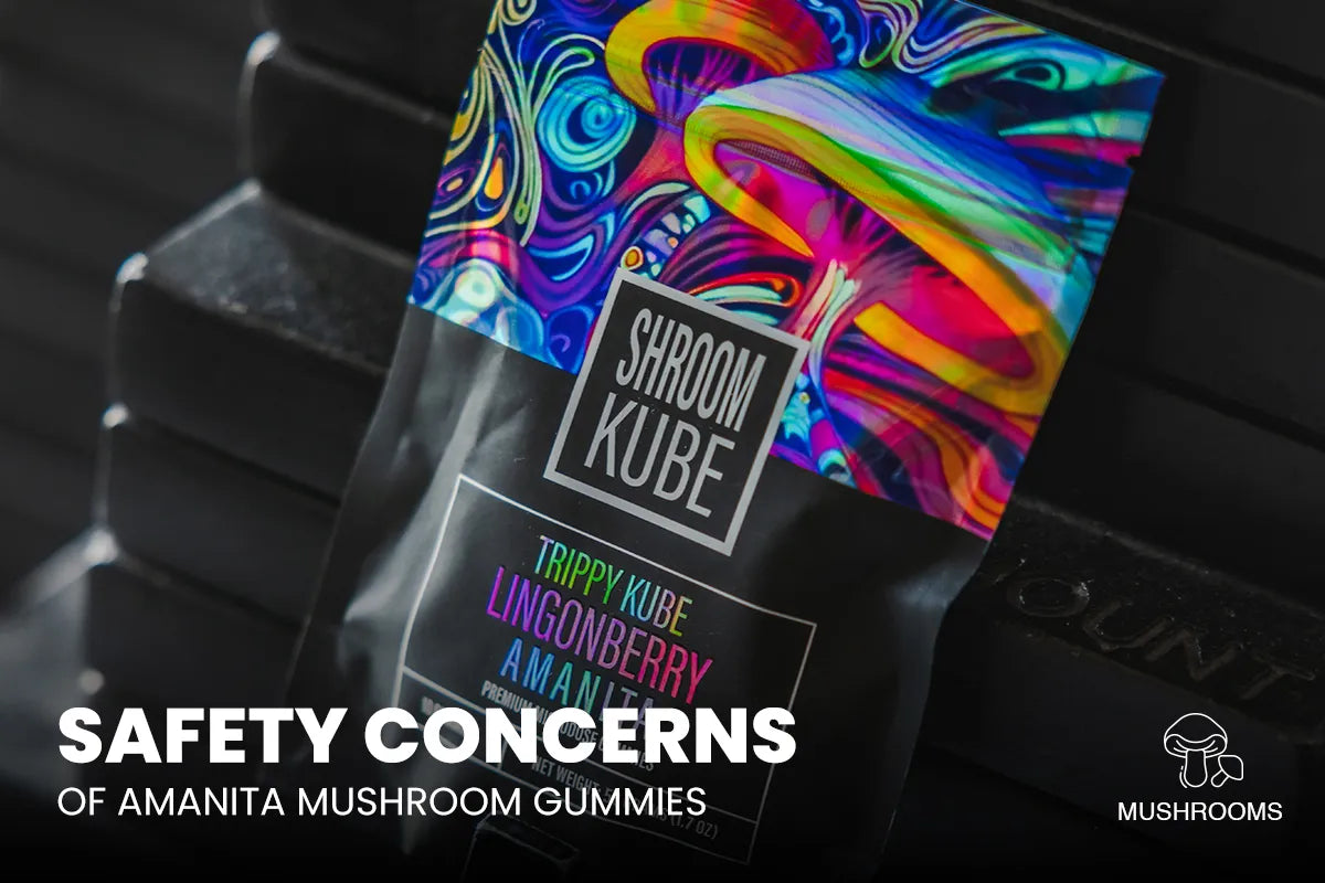 Safety Concerns of Amanita Mushroom Gummies