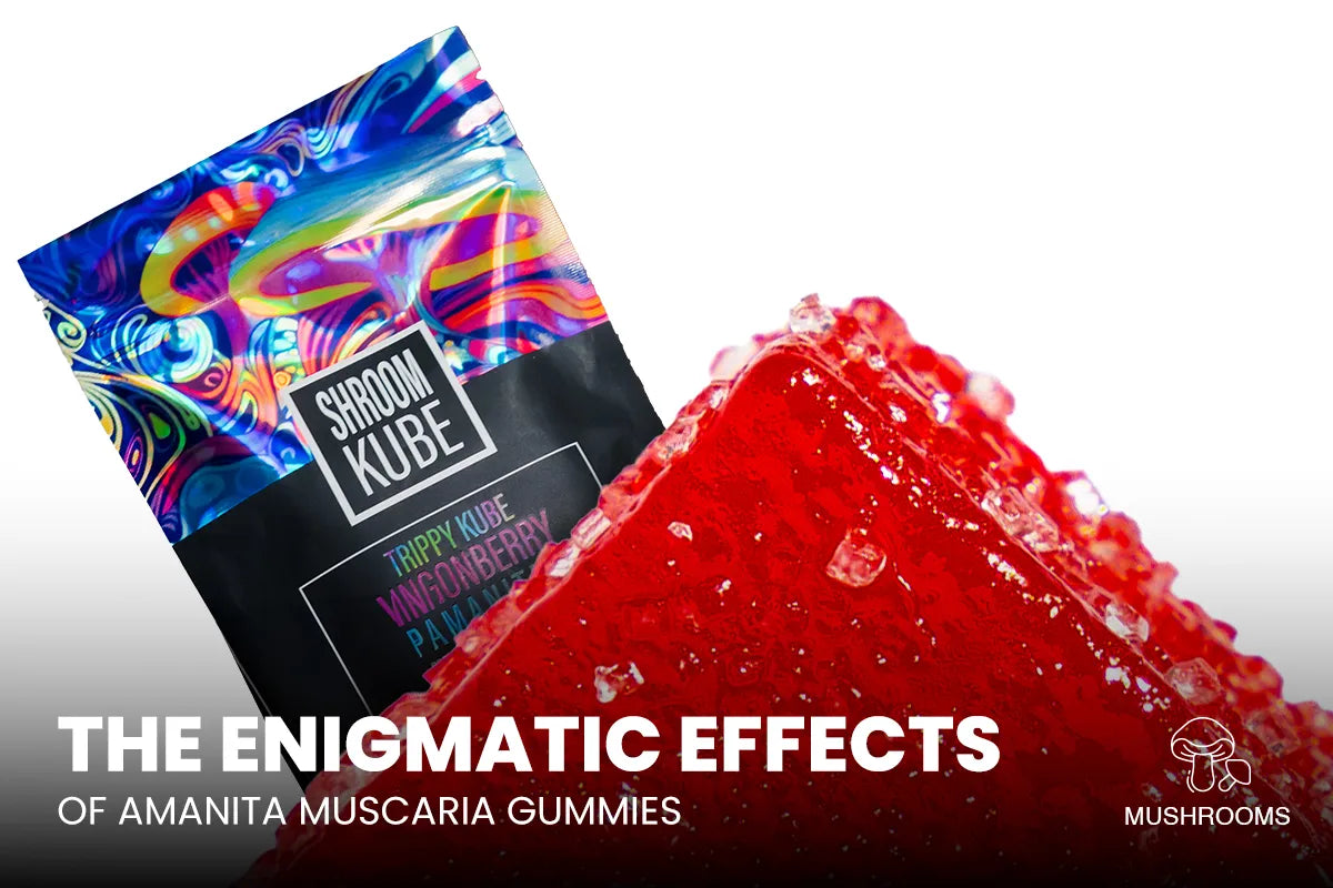 The Enigmatic Effects of Amanita Muscaria Gummies 