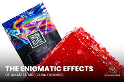 Image of The Enigmatic Effects of Amanita Muscaria Gummies 
