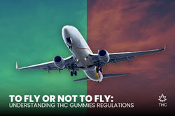 Image of To Fly or Not to Fly: Understanding THC Gummies Regulations