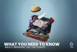 Image of What You Need to Know About Bringing THC on Flights