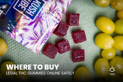 Image of Where To Buy Legal THC Gummies Online Safely