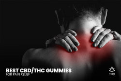 Image of The Ultimate Comfort Bite: Best CBD/THC Gummies for Pain Relief