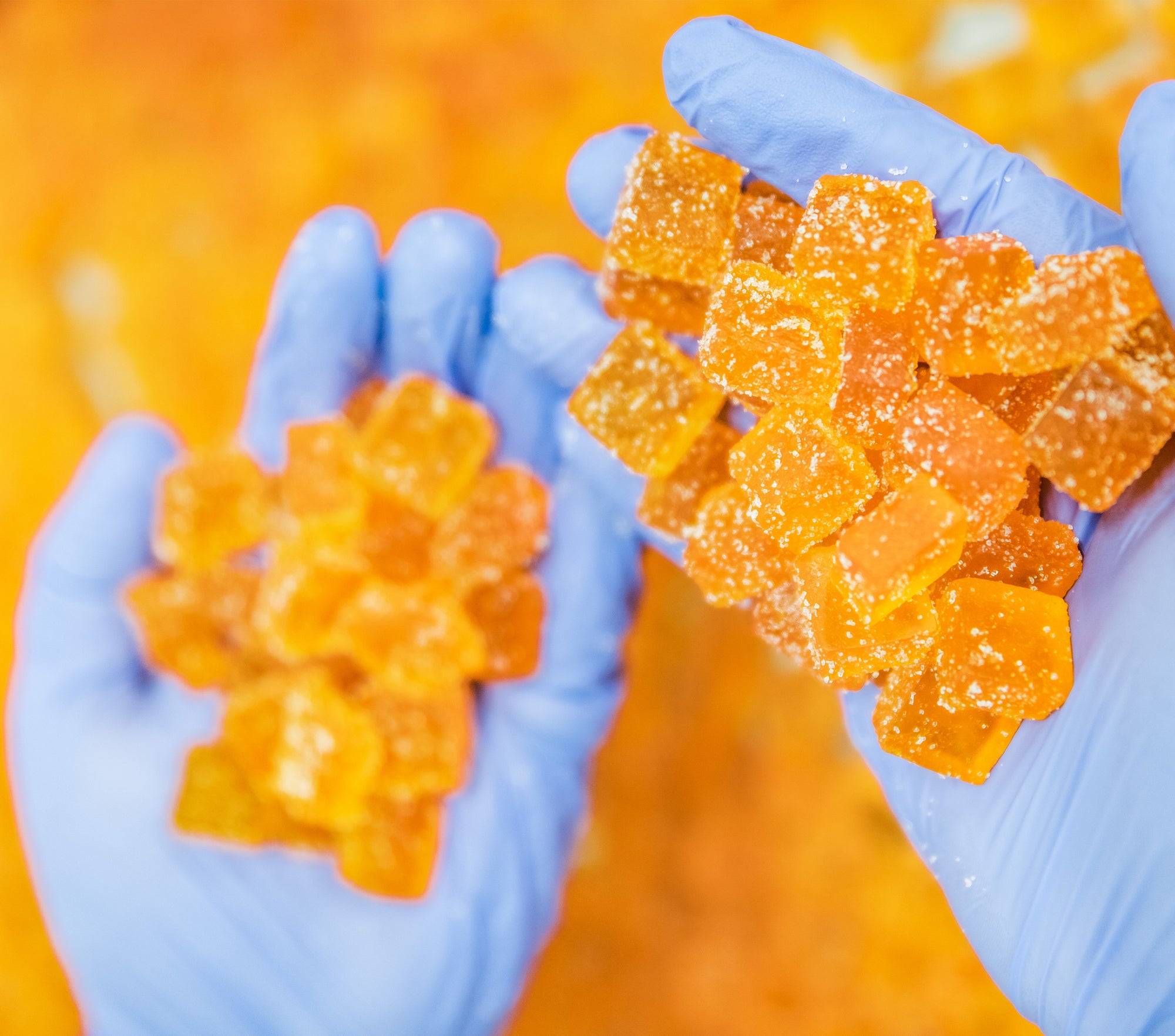 Cotton Candy 10 Gummy Pack King B Distribution